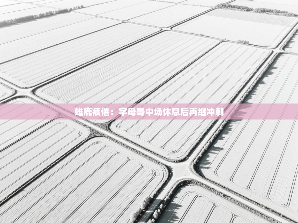 雄鹿疲倦:字母哥中场休息后再继冲刺 第1张